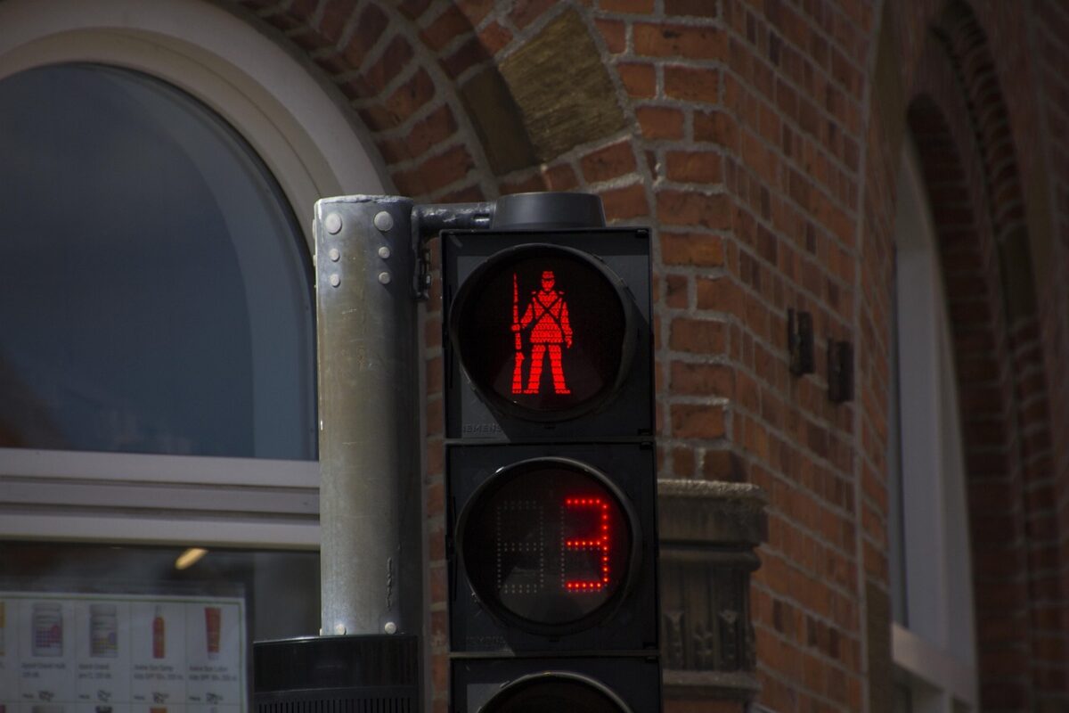 hvepsebekæmpelse Fredericia